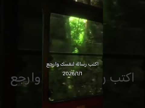 ارجوعو في سنة 2026