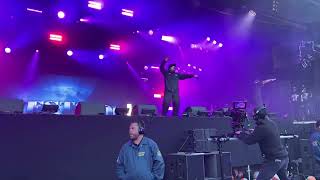 Ice Cube - Gangsta Nation Live Cali Roots 2022