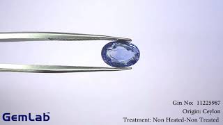 Sapphire Pre 3.65Ct