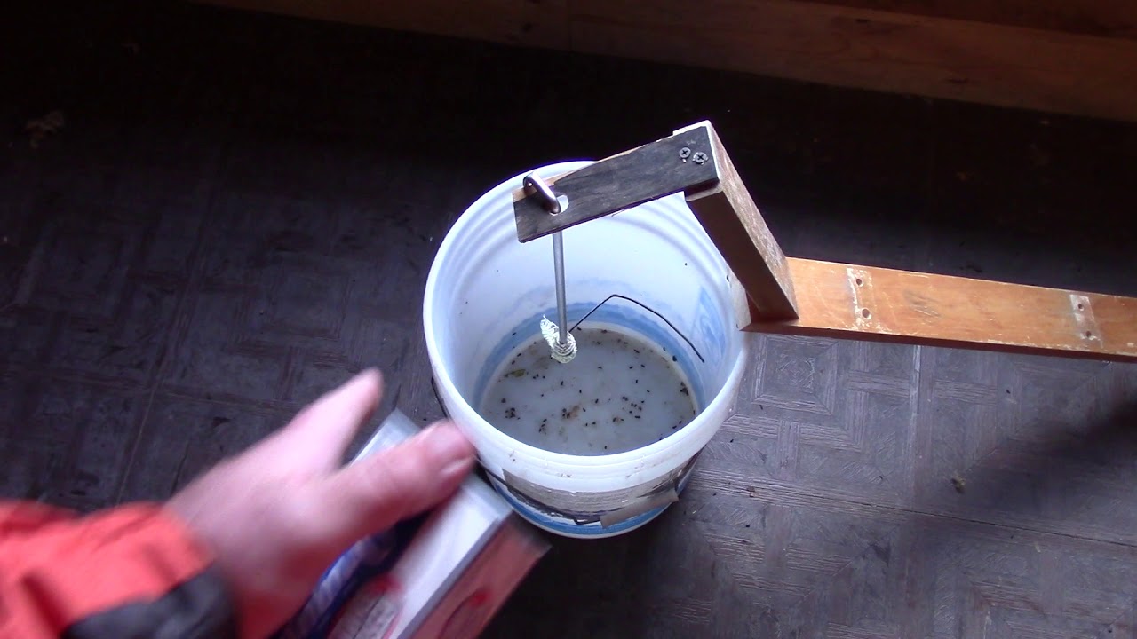 UnRefrigerated 5 Year Old Cream Cheese YouTube