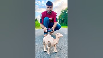 New RC Camel 🐪 unboxing & Testing