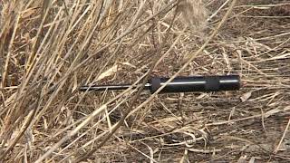 Sniper rifle M91/Snajperska puška M91