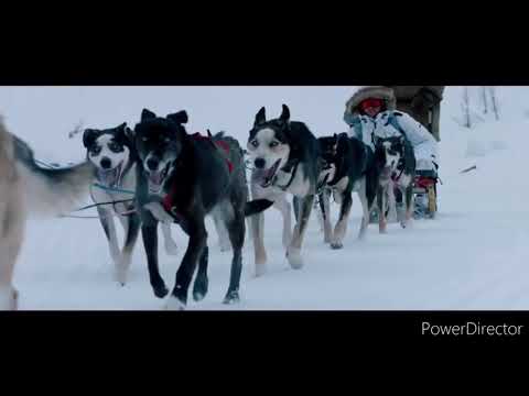 روح روح روح انك ترجع مش مسموح تجنن