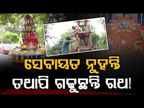 Meet Sumit Das, A Non-Servitor Crafting Grand Chariots For Lord Jagannath | Argus News