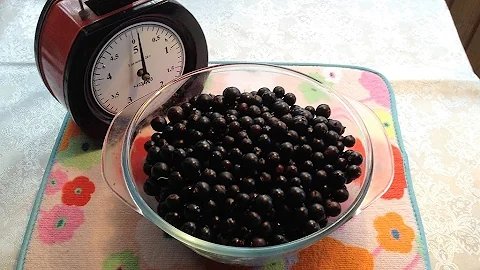 85.Смородина протертая с сахаром на зиму, которая не забродит