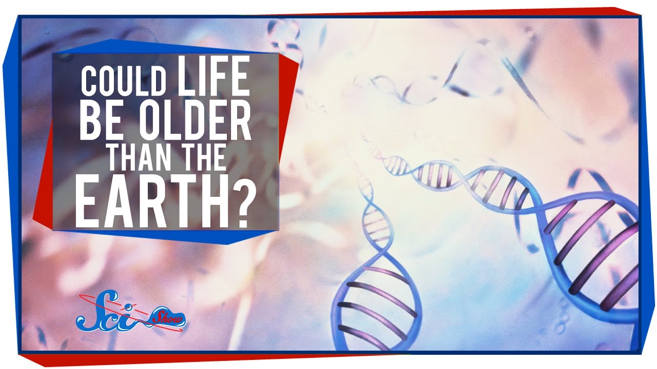 Could Life Be Older Than Earth?