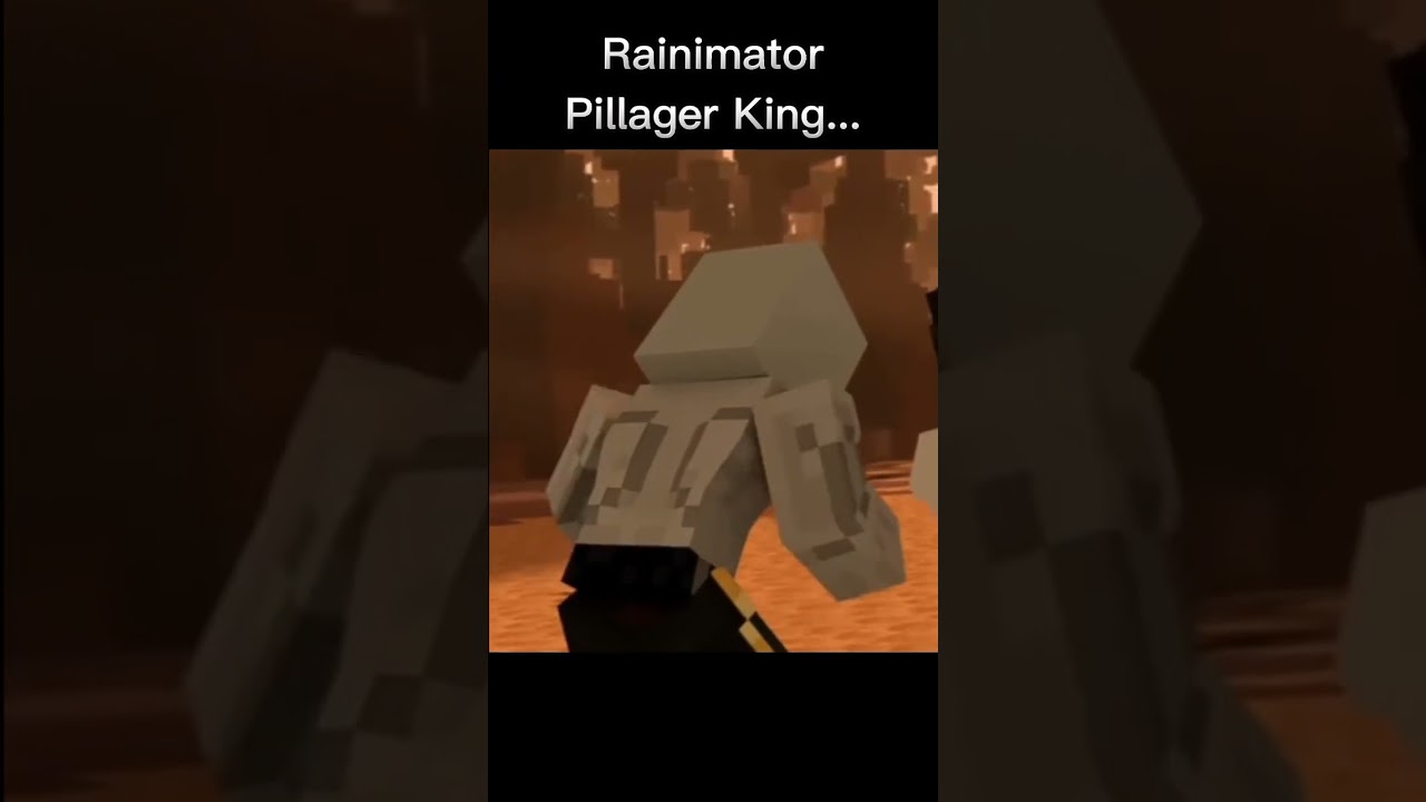 Rainimator Pillager King vs MrFudgeMonkeyz Pillager King 