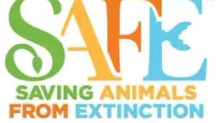 10 yr old Rahul's inspiration from Geza and the Bee