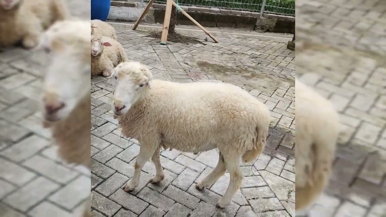 Eco Green Park (part 1) - 14 Jan 2022