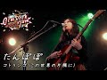 【GemRock Jam Offline 2023】出演動画  コトリンゴ &quot;たんぽぽ&quot;