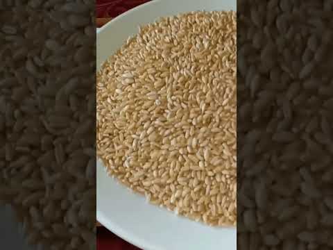 الفرق بين القمح والفرينة التفصيل فالفيديو على قناتي الصحة الاكل الصحي الخميرة البلدية