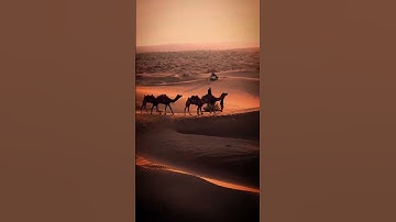 Thumbnail of Desert caravan, Kamel caravan #shorts #short #youtubeshorts
