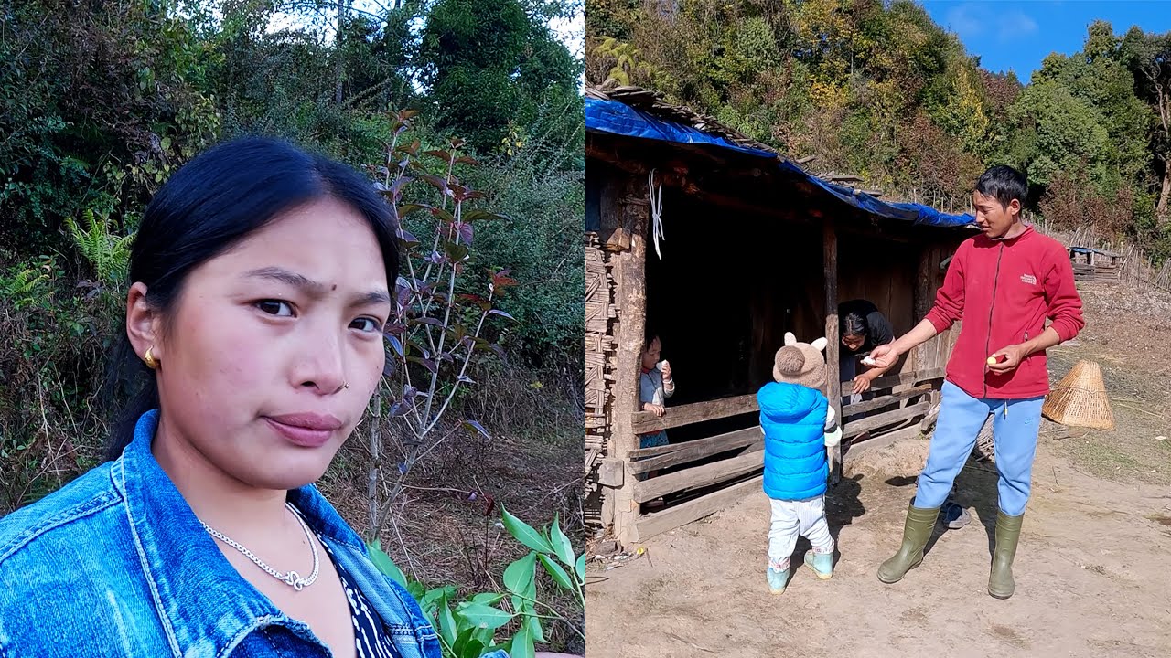 manjita somuhang happy lifestyle with their livestock in the Himalayan territory of rural Nepal