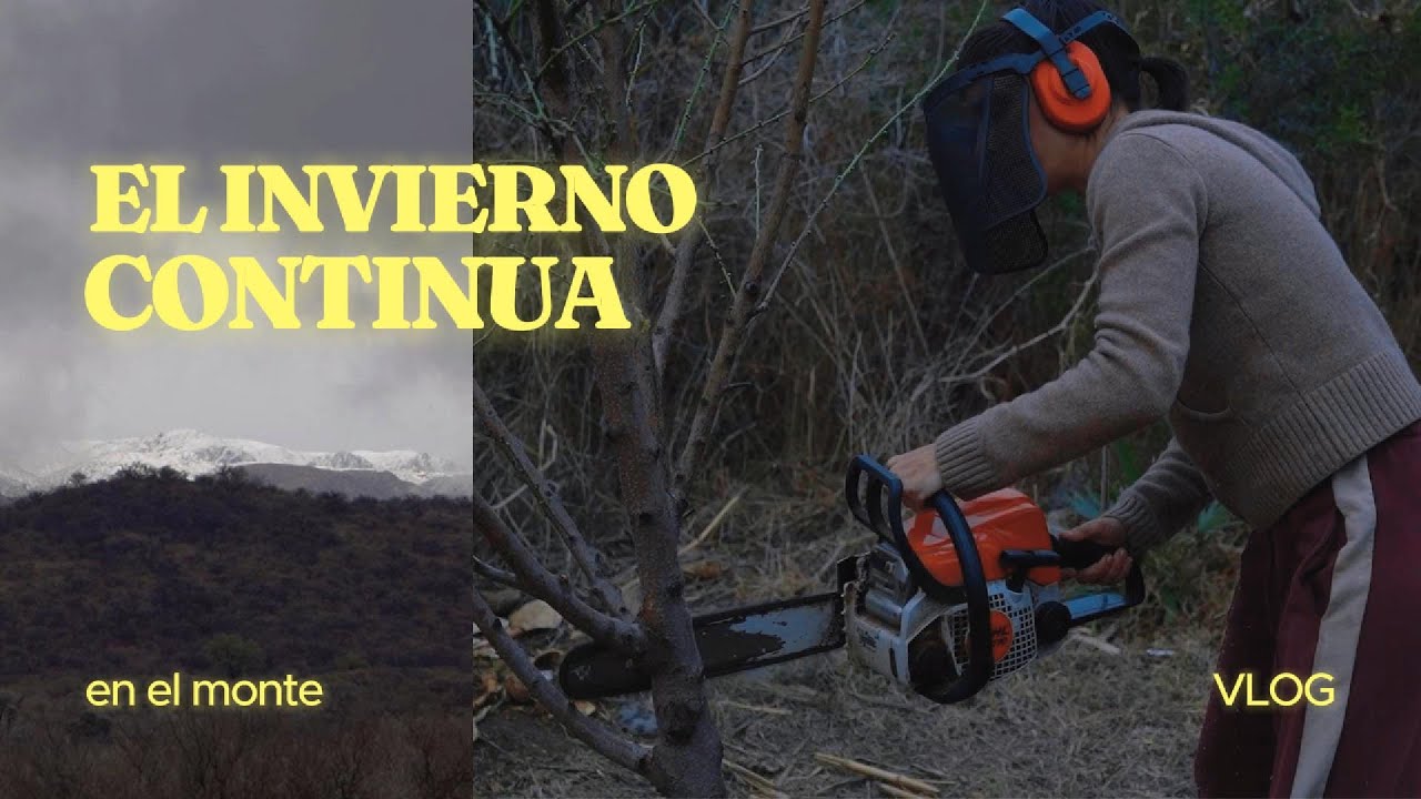 Continúa el INVIERNO pero nosotros estamos con BUENAS NOTICAS en nuestra CASA en el MONTE