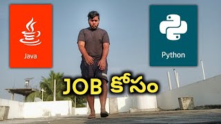 Ah Programing Language Nerchukunte Easy and Pakka Job? Java or Python