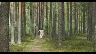 Naked photoshoot art | Posing Guide by Mila camp #artnude #artshoot #nudemodel #camp 