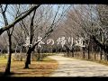 ザ ランチャーズ 真冬の帰り道 歌詞 動画視聴 歌ネット ザ ランチャーズ 真冬の帰り道 歌詞 動画視聴 歌ネット