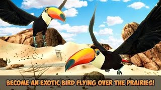 🐤👍Toucan Bird Simulator 3D-Тукан Птица-By WonderAnimals Simulation - Android screenshot 5