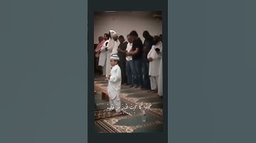 ماشاء الله تبارك الرحمن #القرآن_الكريم #القرانالكريم #تلاوة_خاشعة #تلاوات