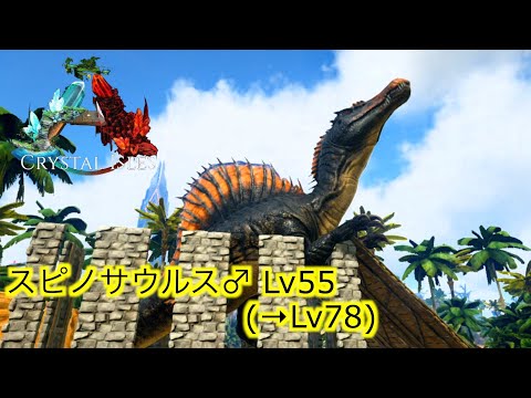 Ps4 Ark公式 Crystal Isles ３１水陸両用スピノサウルステイムで海に囲まれた拠点周りの移動が楽に Ark Survaival Evolved Youtube