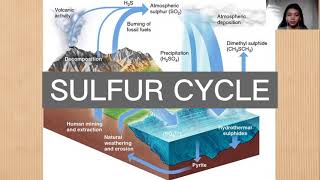 Envi 11- ENVIRONMENTAL SCIENCE (Sulfur Cycle reporting)