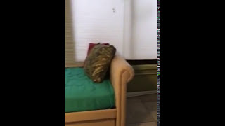 Madeira Beach Yacht Club 357 Rex b