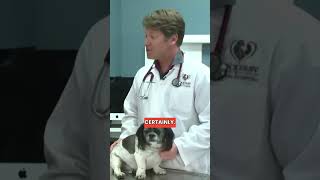 News Bloopers Gone Wrong