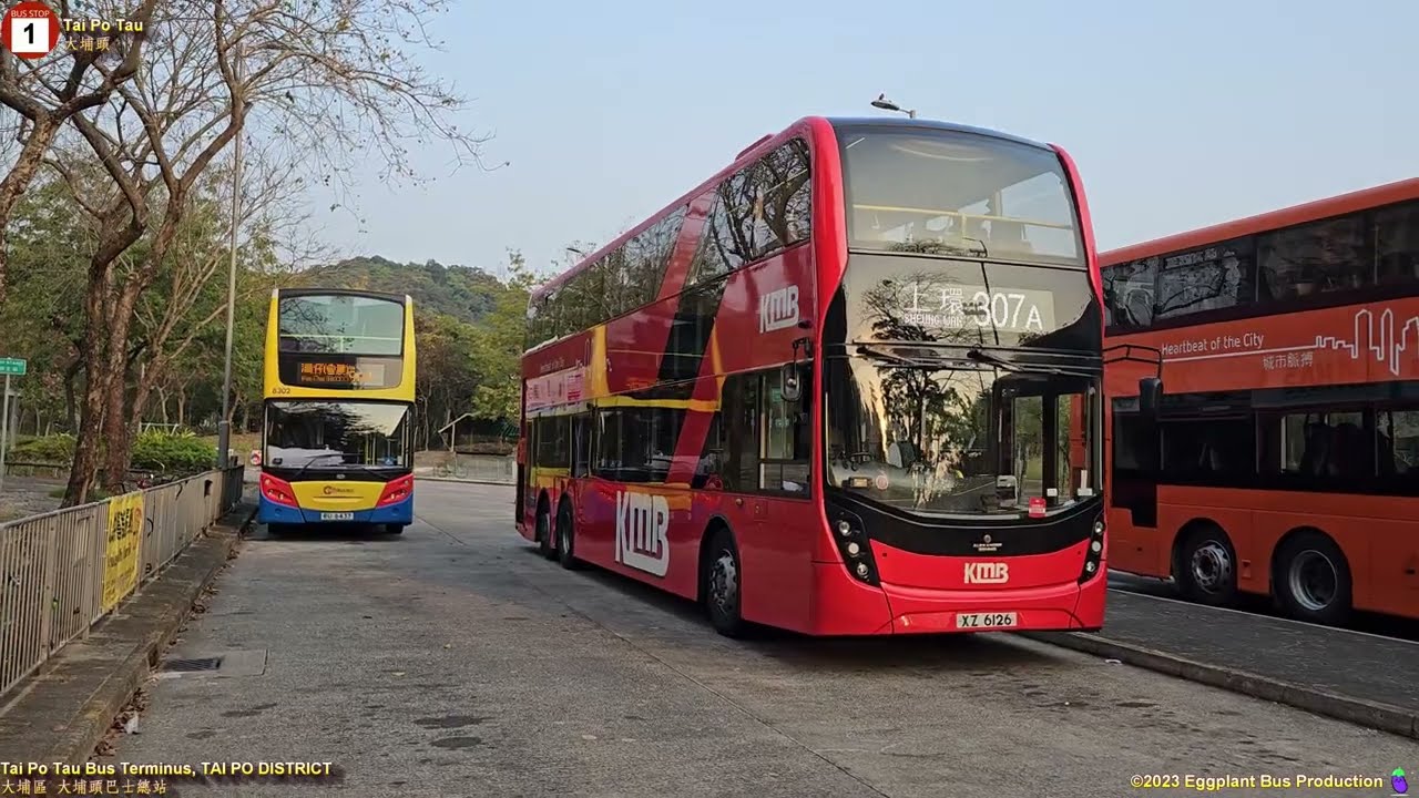 🇭🇰Hong Kong Bus KMB 307A E6X183 @XZ6126 Tai Po Tau🍆Sheung Wan 大埔頭🍆上環