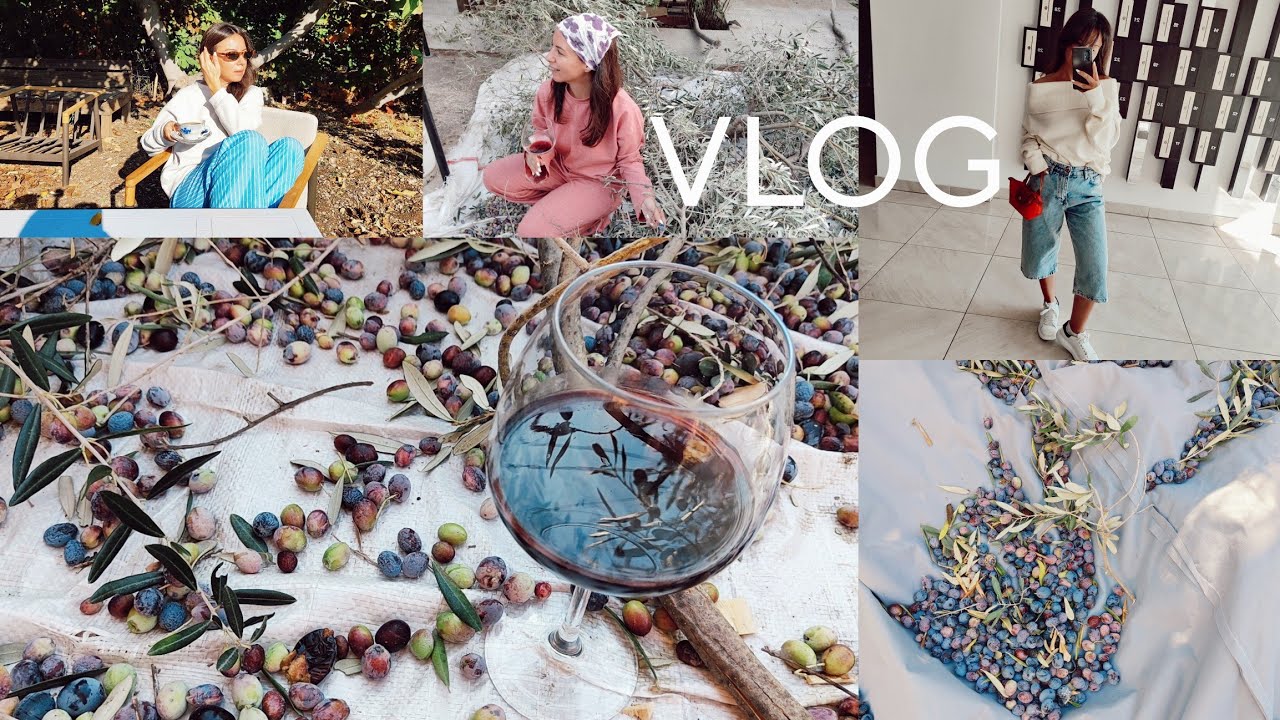 ZEYTİN TOPLAMA GÜNÜ•BAHÇEDE GEÇEN HAFTASONUMUZ•ZEYTİNYAĞIMIZI YAPTIRDIK• EVDE KAHVALTI KEYFİMİZ•URLA