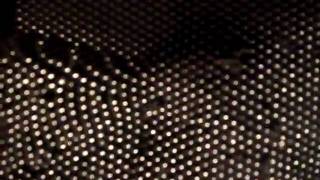 SAM_1739.MP4