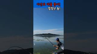 아산호 영상