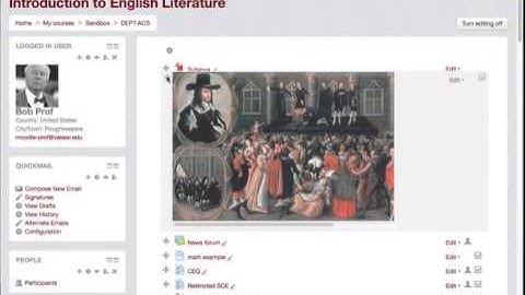 Embed a Graphic onto your Moodle Page