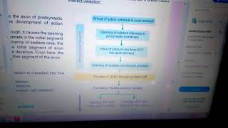 Development of IPSP|Inhibitory Post Synaptic Potential|Nerve Physiology|B.Sc Life Science|In Bengali screenshot 4