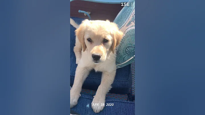 Introducing Cora