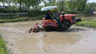 CF-90HP Rubber tracked tractor working for Spring lotus field tillage in wet condition screenshot 4