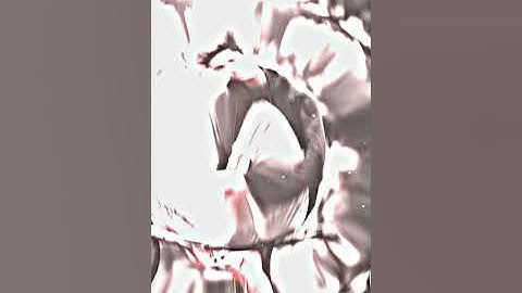 ɴᴇᴡ ᴀʟɪɢʜᴛ ᴍᴏᴛɪᴏɴ ᴛʀᴇɴᴅɪɴɢ xᴍʟ ꜰɪʟᴇ ᴠɪᴅᴇᴏ 🔥 #xml #alightmotion #trend_xml #trending #new #xml_file