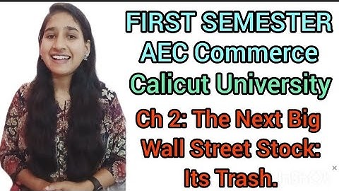 Ist Sem- AEC Commerce- Summary & Explanation Ch 2: The Next Big Wall Street Stock: It