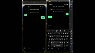 This is not just a UI demo.I built a REAL-TIME Hacker Terminal inspired app using Flutter