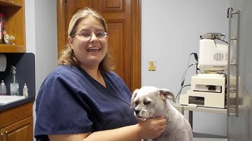 AVMA Required Task Video