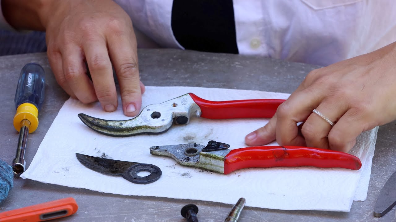 How to Clean and Care for Garden Pruners and Secateurs