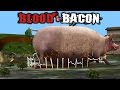 Blood & Bacon: Painting and Shit Everywhere