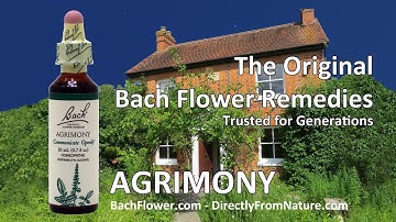 AGRIMONY - Bach Flower Remedy