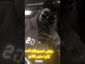 محسوب مقاتل سامر المدني 