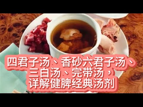 四君子汤 香砂六君子汤 三白汤 完带汤 详解健脾经典汤剂 - YouTube