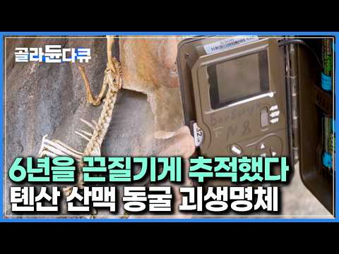 Even locals rarely see it in a lifetime: Their camera footage revealed for the first time | World...