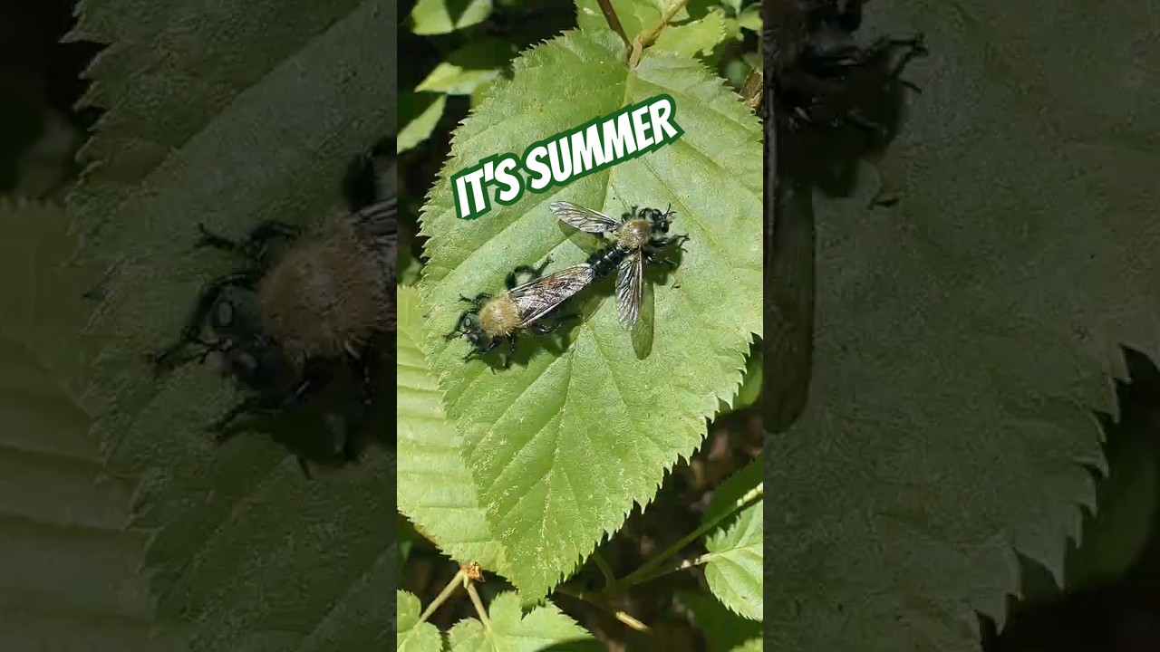 It’s Summer - go out and explore nature