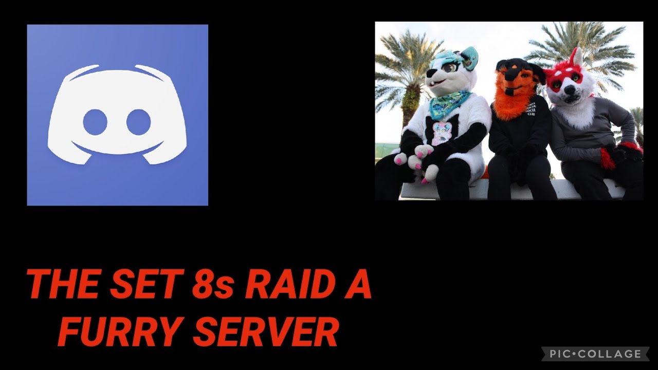 SET 8s JOIN A FURRY DISCORD SERVER(GONE WRONG) - YouTube