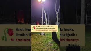 Hayat Hevesleri Kursağında Bıraka Bıraka Öğretir