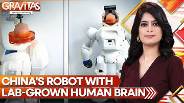Gravitas: Chinese scientists develop robot with lab-grown human brain