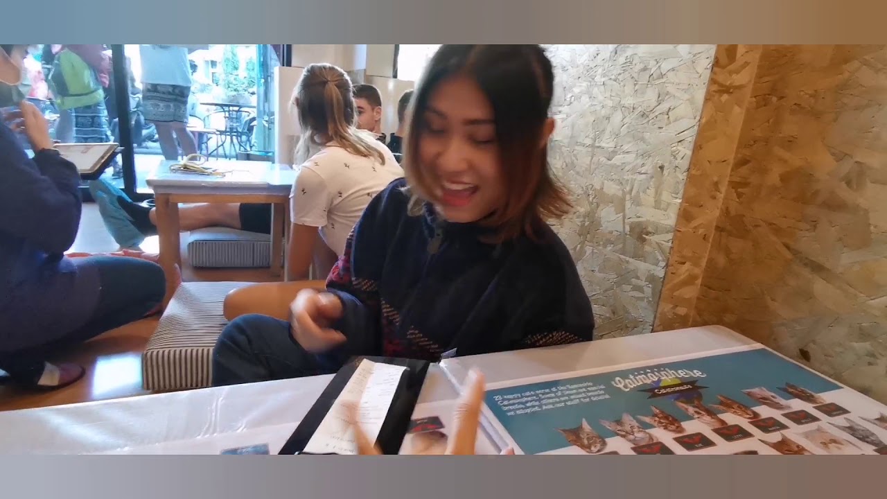 แมวและก็แมวๆๆๆๆๆ​ ที่​ Catmosphere​ Cafe​ Chaingmai​